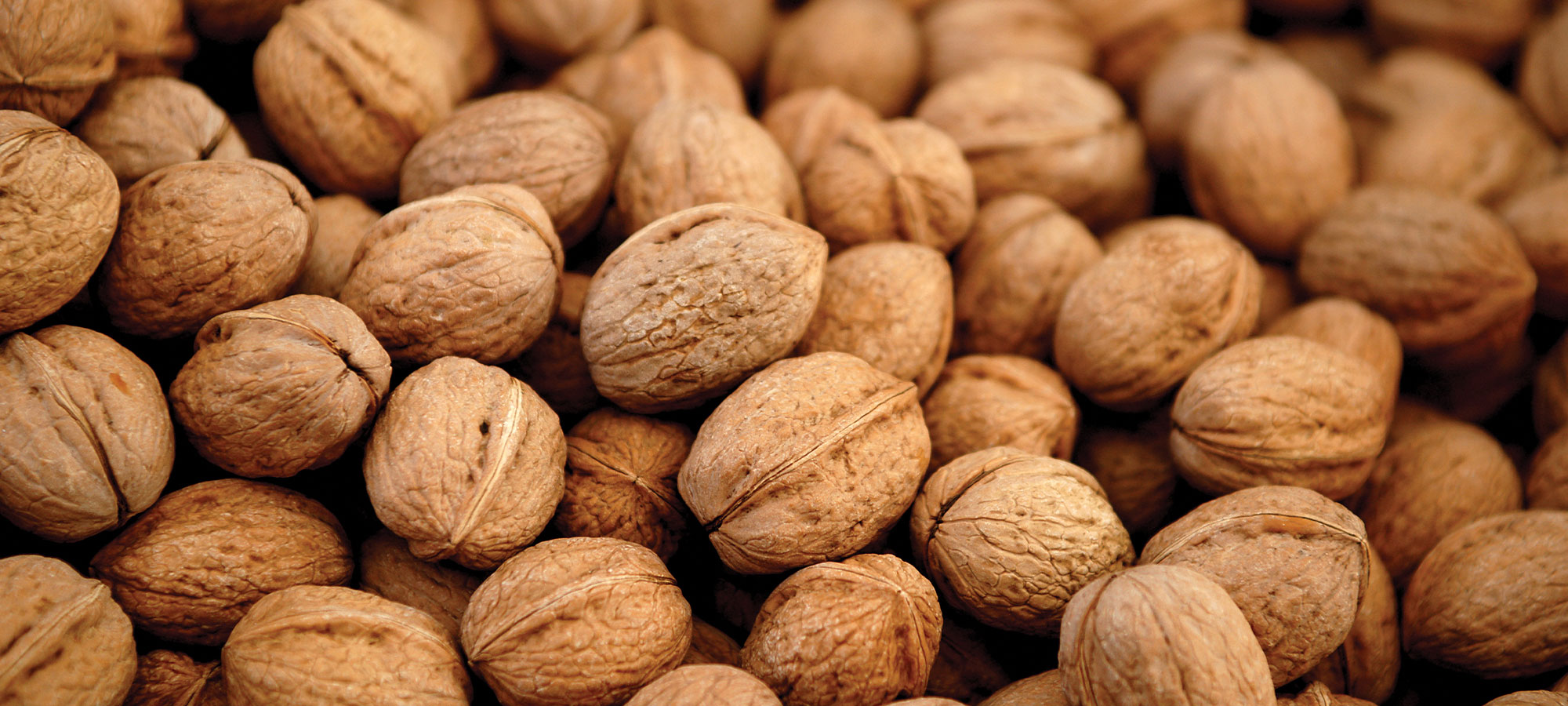 How Walnut Shells Enrich Your Application EcoShell